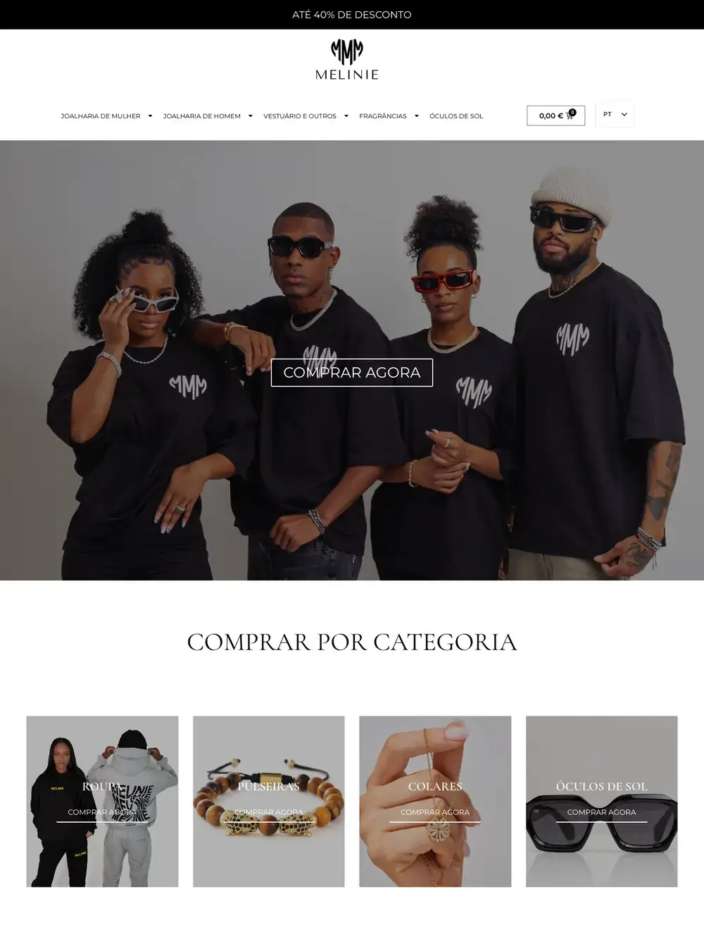 Site Melinie visto no computador